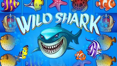 wildshark